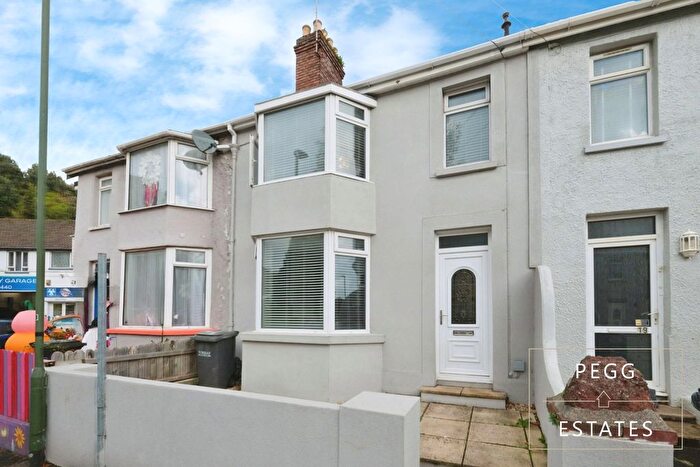 3 Bedroom Terraced House For Sale In Sherwell Valley Road, Torquay, TQ2