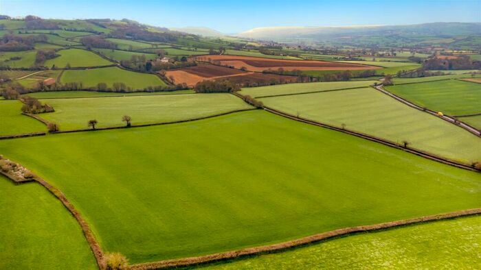 Land For Sale In Musbury, Axminster, Devon, EX13