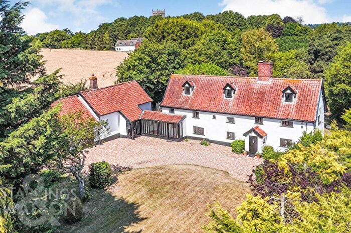 5 Bedroom Detached House For Sale In The Street, Tibenham, Norwich, NR16
