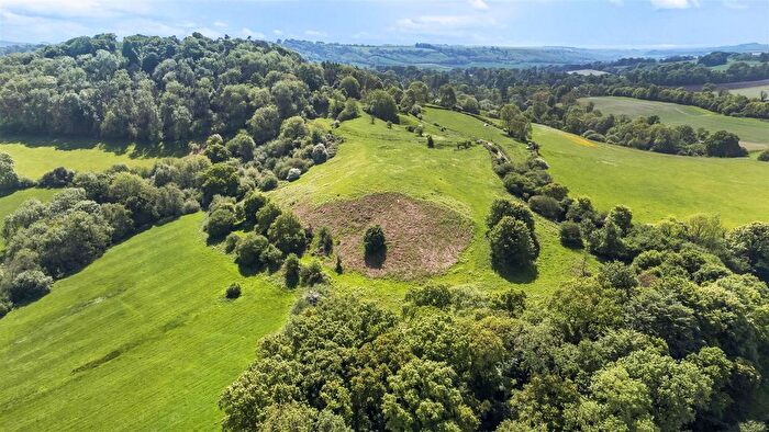Land For Sale In Lyons Gate, Dorchester, DT2