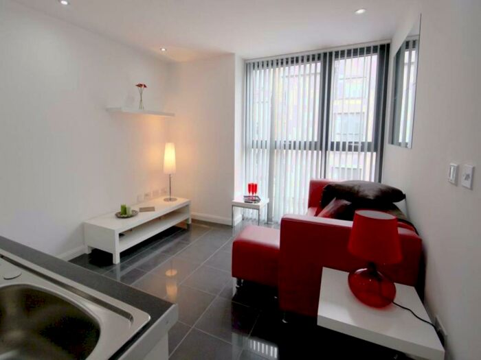 1 Bedroom Flat To Rent In Richmond Square Studio, Richmond Road, Cathays, CF24