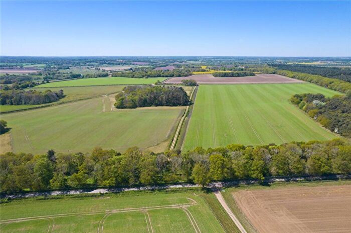 Land For Sale In Bylaugh, Dereham, Norfolk, NR20