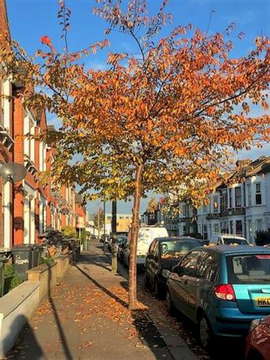 1 Bedroom Flat To Rent In Brading Road, London, SW2