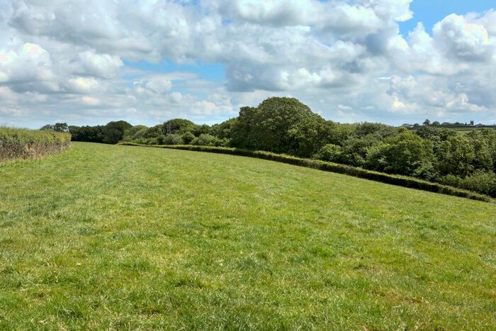 Land For Sale In Land At Ten Oaks [Lot ], Roborough, Winkleigh, Devon, EX19