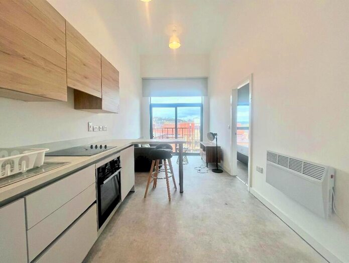 1 Bedroom Apartment To Rent In Birtin Works, Henry St, S3