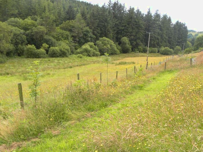 Farm Land For Sale In Rhydcymerau, Llandeilo, SA19