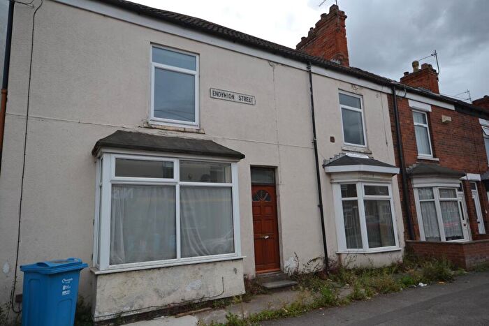 2 Bedroom Terraced House For Sale In Endymion Street, Hull, HU8