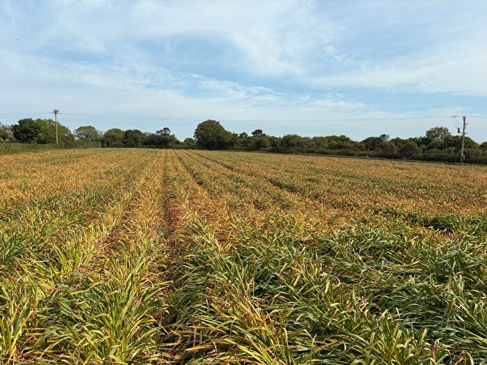 Land For Sale In Rosudgeon, Penzance, TR20