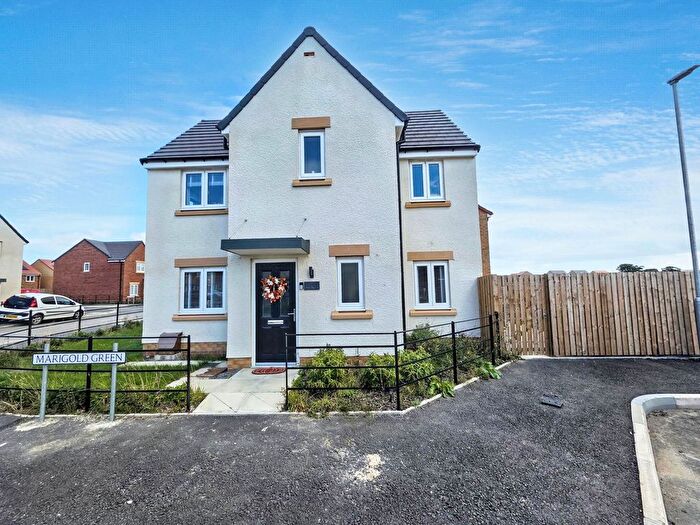 3 Bedroom Detached House For Sale In Marigold Green, Cramlington, NE23