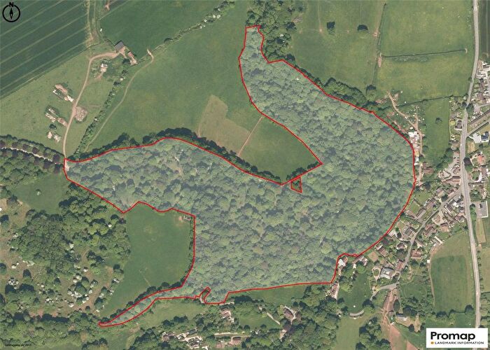 Land For Sale In Holford, Bridgwater, Somerset, TA5