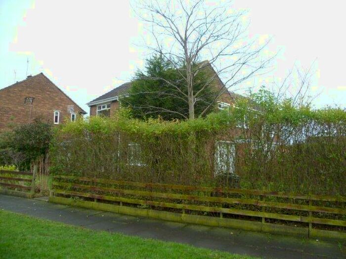 3 Bedroom Semi-Detached House To Rent In Lilac Walk, Hebburn, Tyne And Wear, NE31