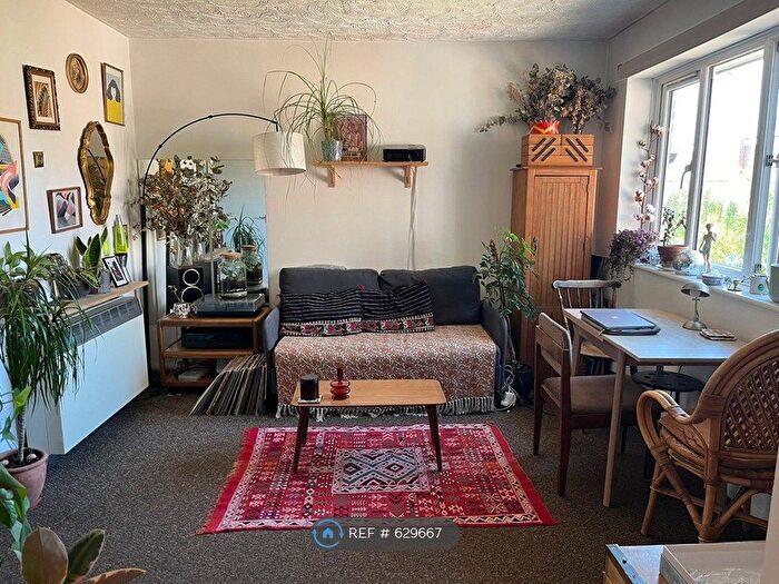 1 Bedroom Flat To Rent In Northiam Street, London, E9