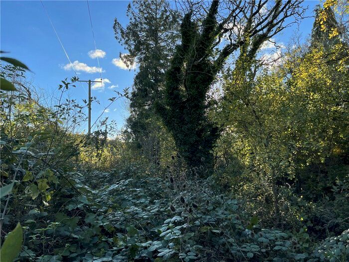 Land For Sale In Thornicombe, Blandford Forum DT11