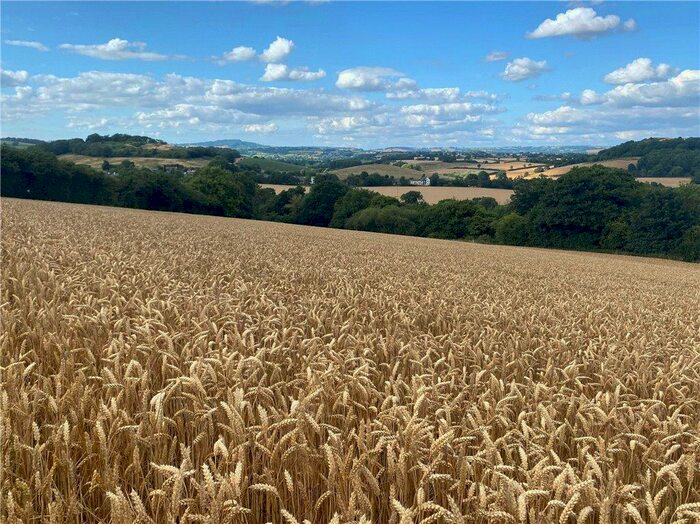 Land For Sale In Eype, Bridport, Dorset, DT6