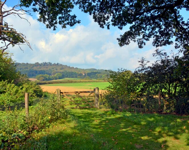 1 Bedroom Flat For Sale In Lorimer Avenue, Cranleigh, GU6