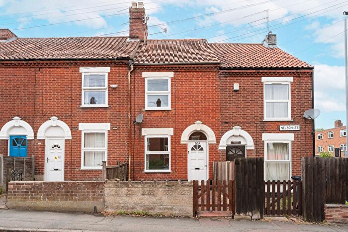 3 Bedroom Terraced House For Sale In Nelson Street, Norwich, NR2