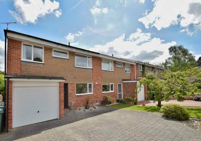 6 Bedroom Detached House To Rent In Fulflood, SO22