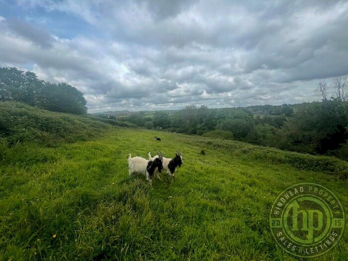 Land For Sale In Monks Farm, Land On The South East Side Of Waterside House, Moditonham, PL12