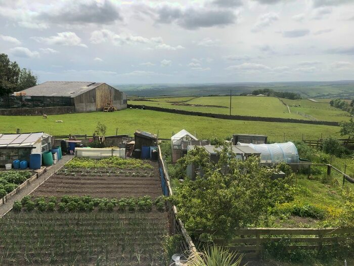 2 Bedroom Terraced House To Rent In Harrison Street, Tow Law, Bishop Auckland, DL13