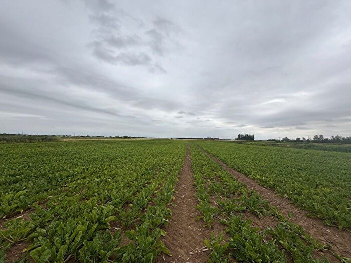 Farm Land For Sale In Agricultural Land Off Dowsdale Bank, Crowland, PE6