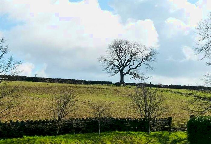 2 Bedroom Flat To Rent In Acland Hall, Lady Park Avenue, Bingley, BD16