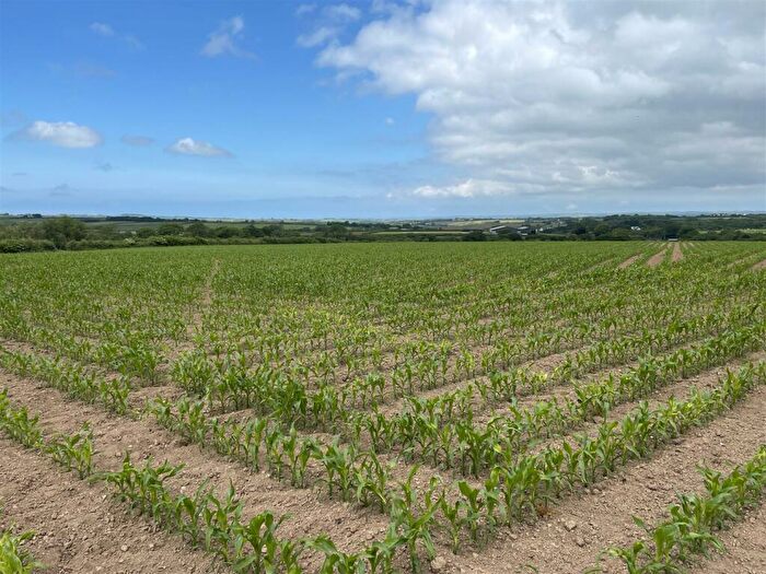 Land For Sale In High Bickington, Umberleigh, EX37