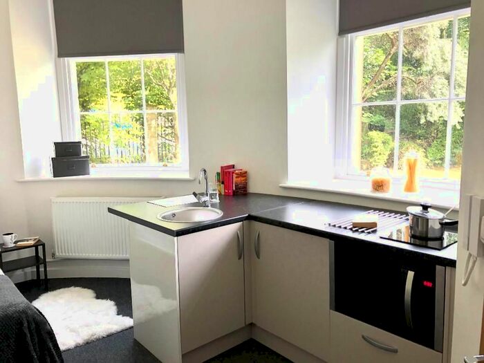 Studio To Rent In Albert Terrace Road, Sheffield, S6