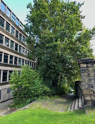 Studio To Rent In Tyne Bridge, NE1