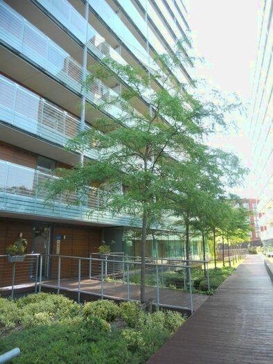 2 Bedroom Flat To Rent In Kelso Place, Manchester, M15