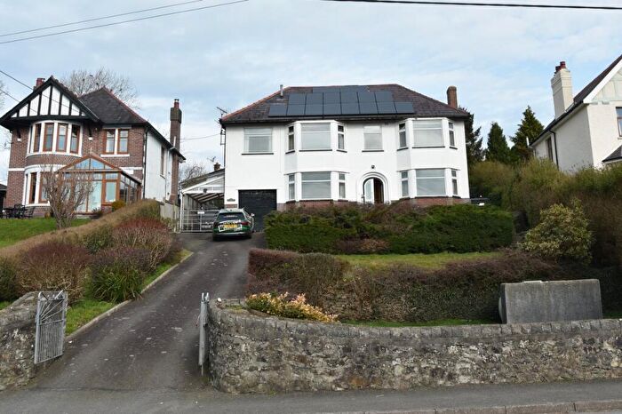 4 Bedroom Detached House For Sale In Elmgrove, Adpar, SA38