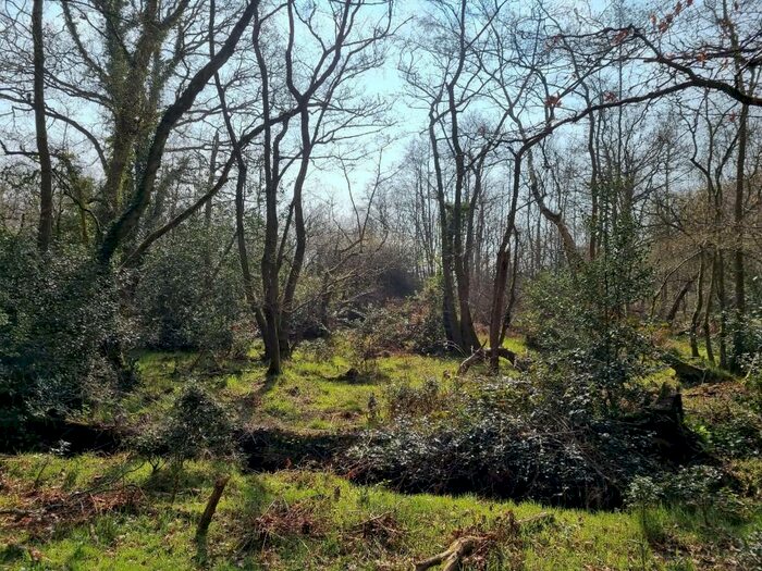 Land For Sale In Land At Reading Road, Aldermaston, RG26