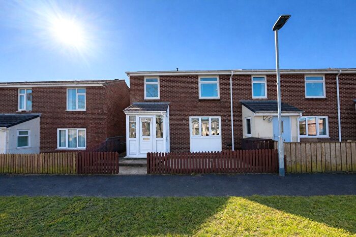 3 Bedroom Terraced House For Sale In South Magdelane, Medomsley, Consett, DH8
