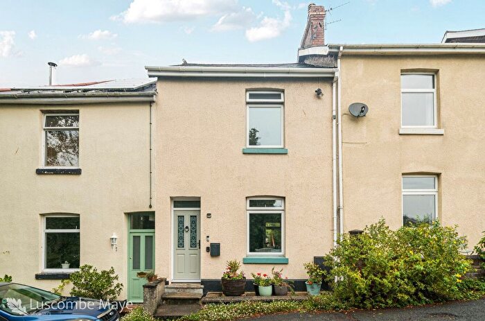 2 Bedroom Terraced House For Sale In Argyle Terrace, Totnes, TQ9