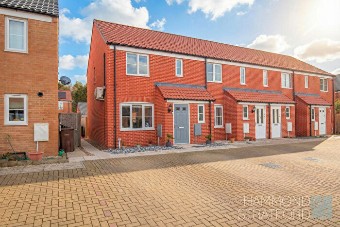3 Bedroom End Of Terrace House For Sale In Catlyn Place, Wymondham, NR18