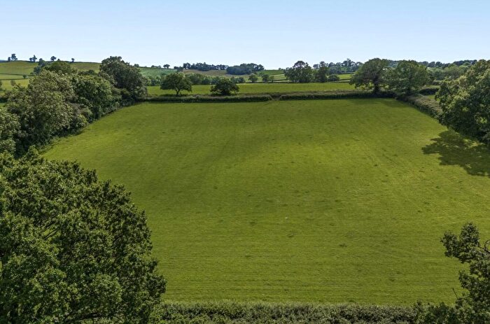 Land For Sale In Awliscombe, Honiton, Devon, EX14