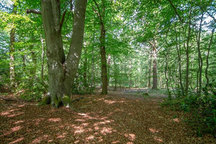 Land For Sale In Horsham Road, Handcross, RH17