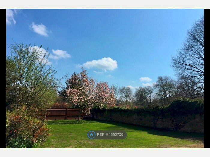 4 Bedroom Semi-Detached House To Rent In Stoke Road, Guildford, GU1