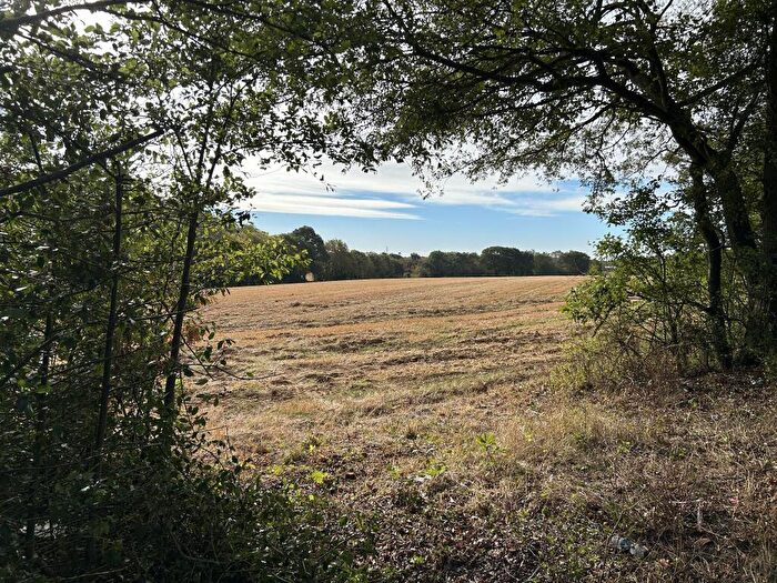 Farm Land For Sale In Hyde Chase, Danbury, CM3