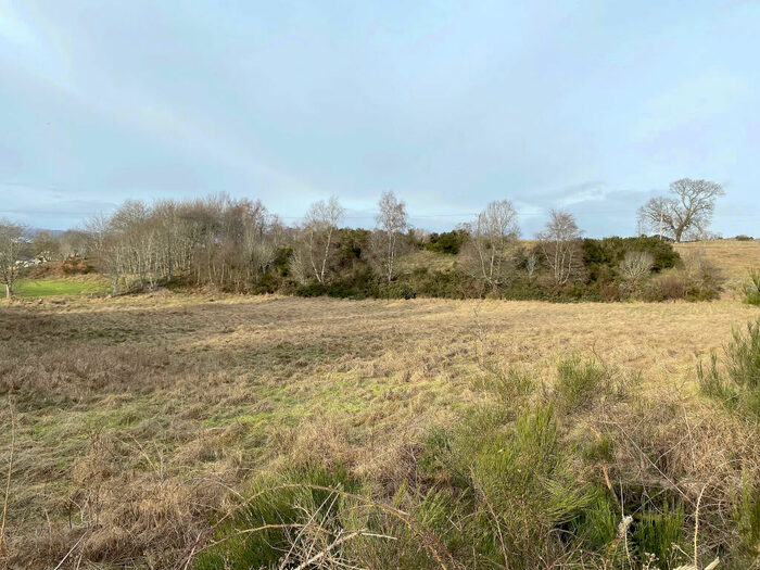 Land For Sale In Housing Development At Balvaird Road, Muir Of Ord, IV6