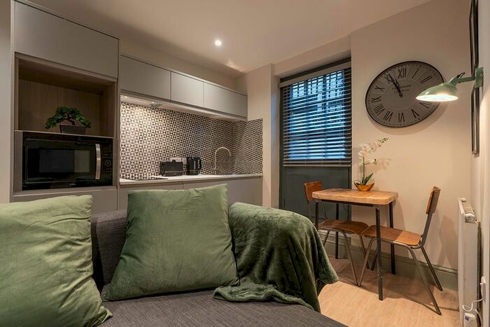 Studio To Rent In Trowbridge Road, London, E9