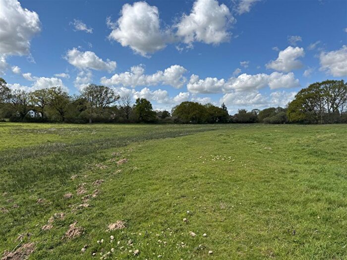 Land For Sale In Holt Green, Holt, Wimborne, BH21