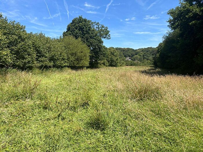 Land For Sale In Pennycombe Water Meadow, Kenn, EX6