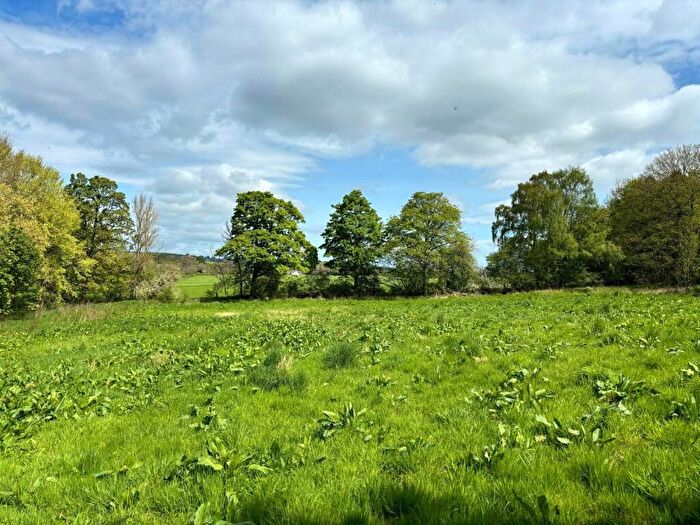 Land For Sale In Land At Weywood, Humshaugh, Northumberland, NE46