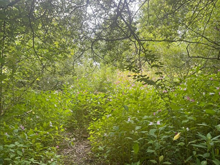 Land For Sale In Land Rear Of Heol Faen, Mission Road Maesteg, CF34