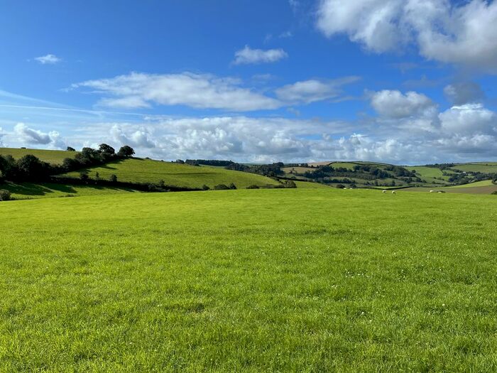 Land For Sale In Longcombe, Totnes, TQ9