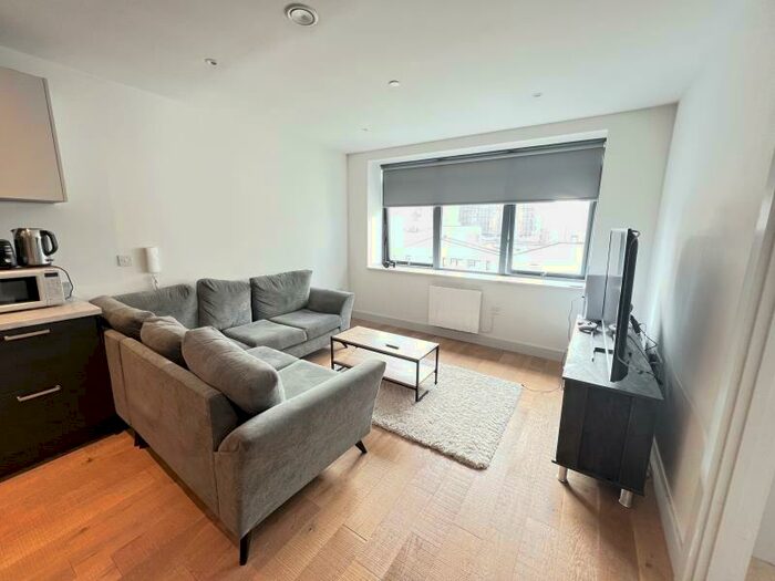 1 Bedroom Apartment To Rent In One Vesta Street, M4