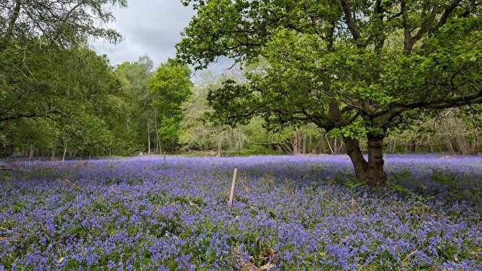 Land For Sale In Southroad Wood, Warehorne Road, Woodchurch, Kent, TN26