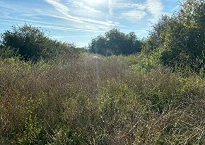 Farm Land For Sale In Meare Road, Glastonbury, BA6