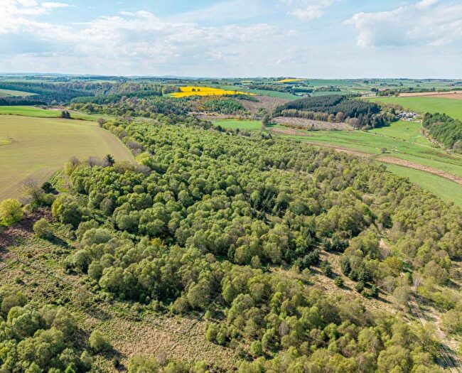Property For Sale In Braes Of Gight, Methlick, Ellon, Aberdeenshire, AB41