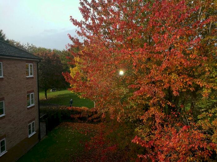 2 Bedroom Flat To Rent In Tamarin Gardens, Cherry Hinton, Cambridge, CB1